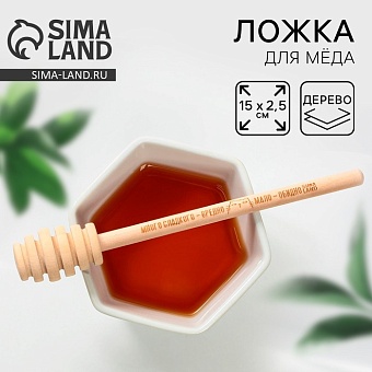 Ложка для меда "Bee honey", 15 см 9228269
