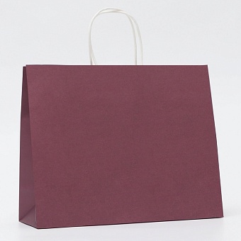 Пакет подарочный крафтовый винный, круглая ручка, 31.5×25×11.5 см, 120 г