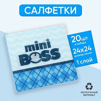 Салфетки бумажные однослойные "Mini Boss", 24х24 см, 20 шт 7756532